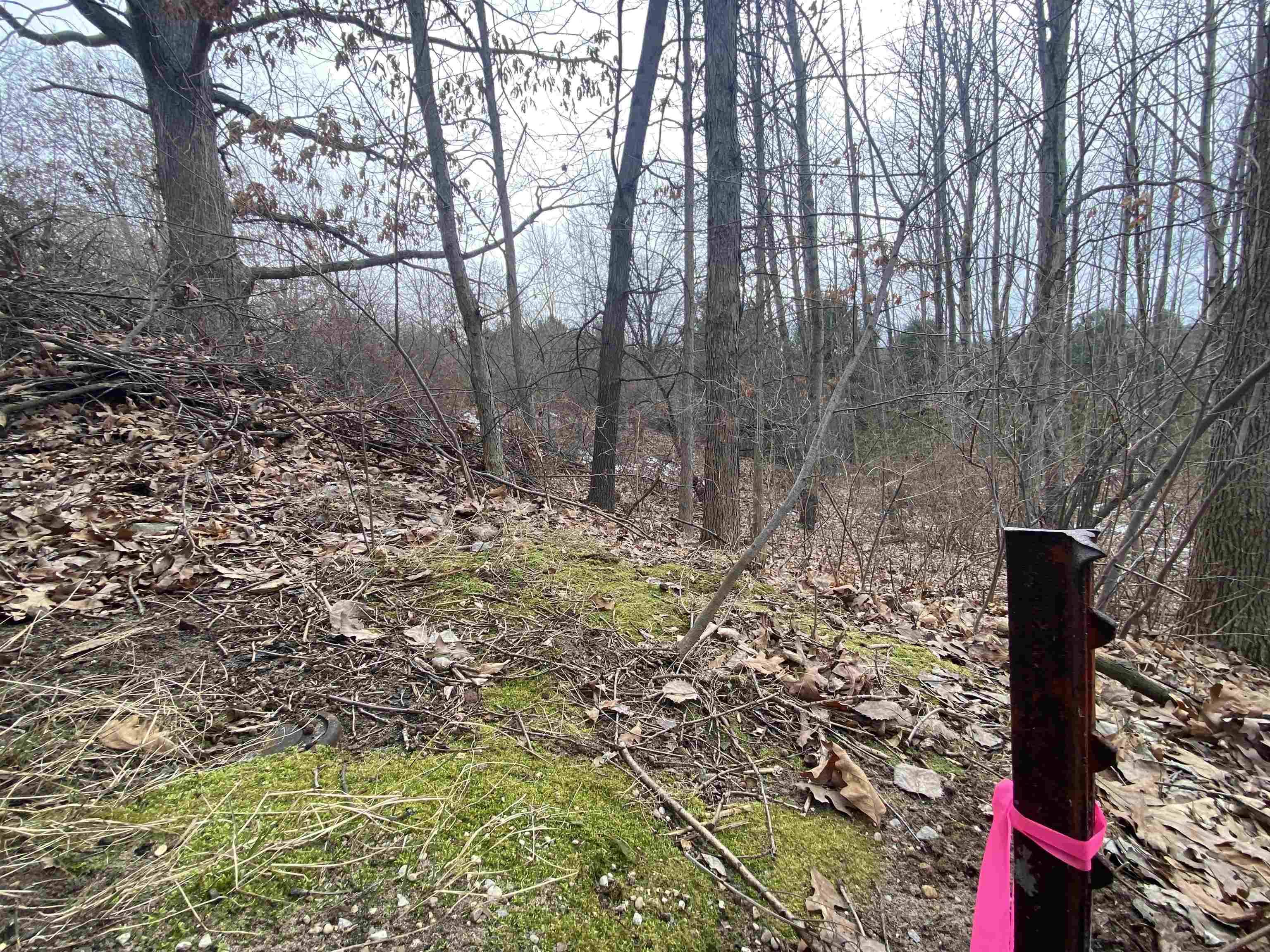 Lot 38 Kirkridge DR, Acme Twp, MI 49690