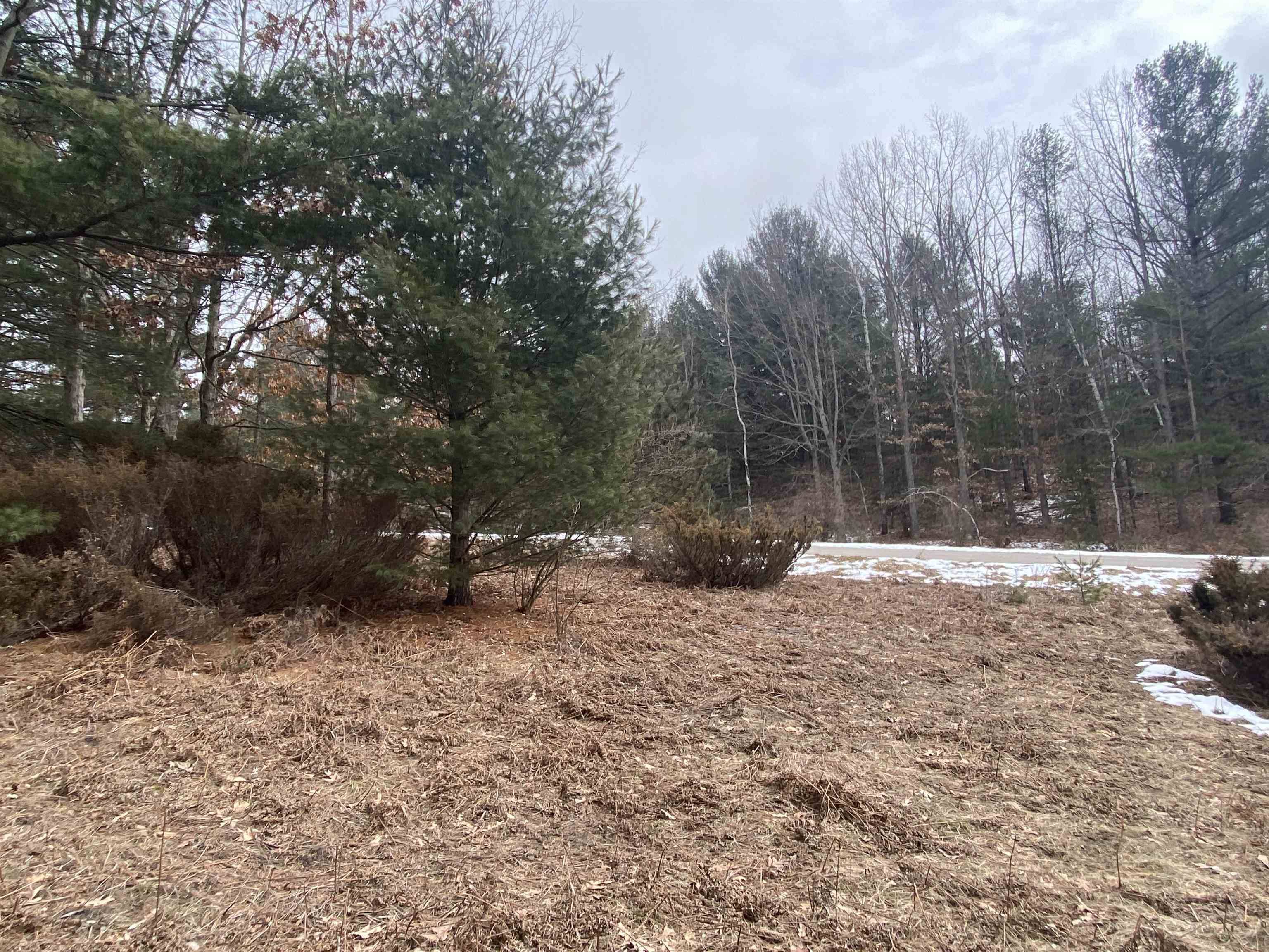 Lot 35 Scenic Hills DR, Acme Twp, MI 49690