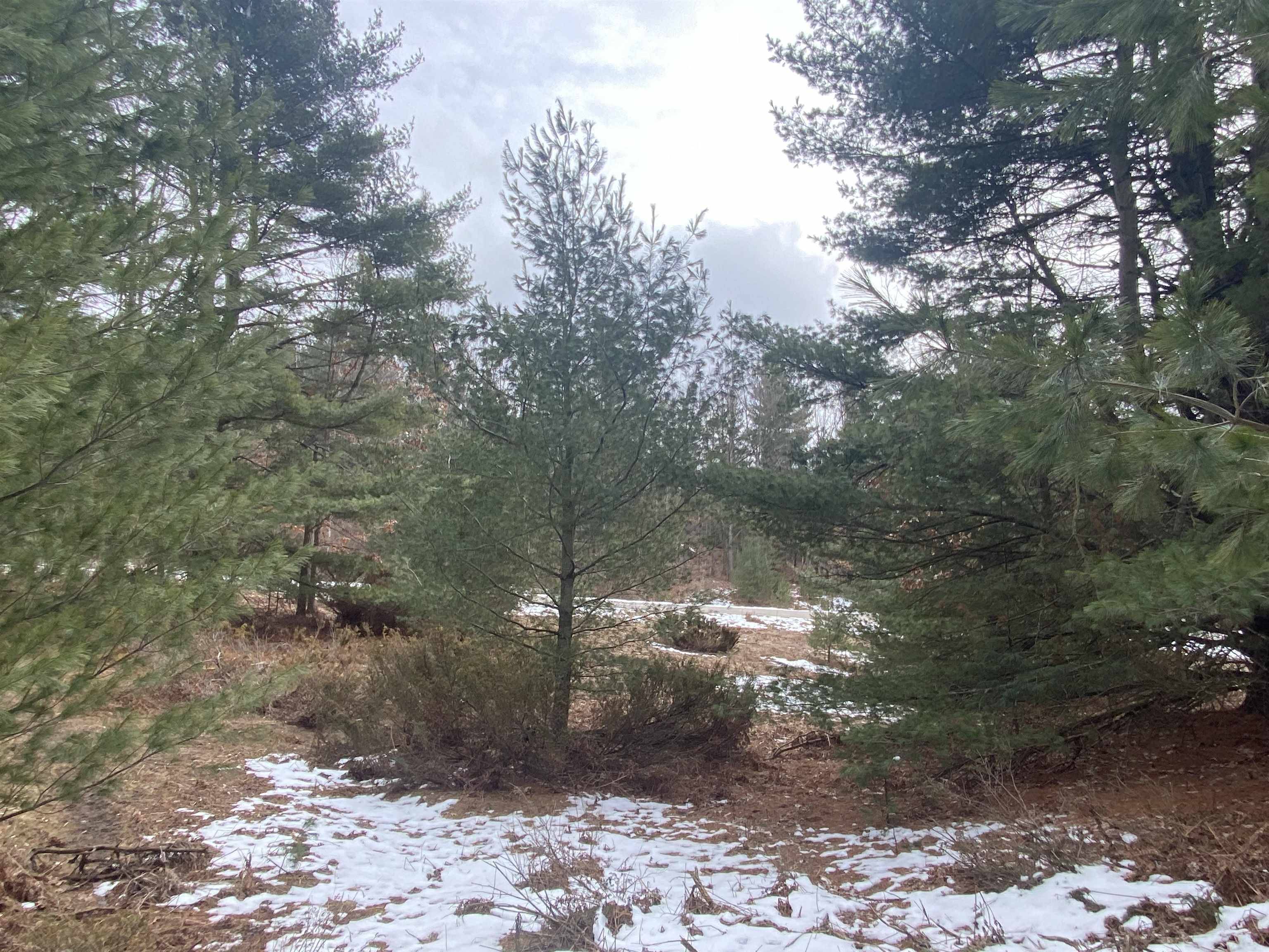 Lot 35 Scenic Hills DR, Acme Twp, MI 49690