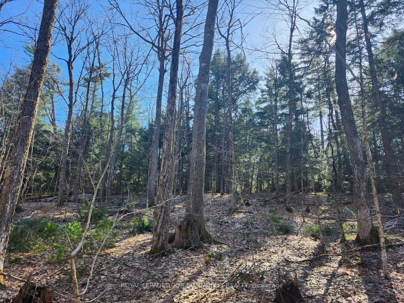 1282 Highway 118 RD E, Bracebridge, ON P1L 1X1