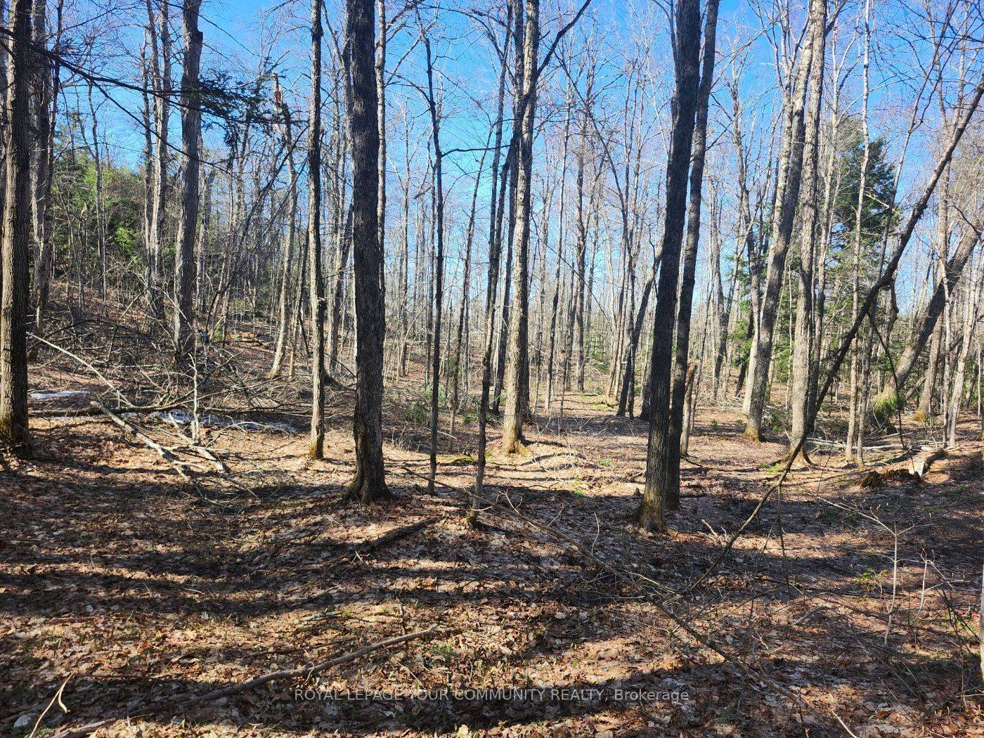 1282 Highway 118 RD E, Bracebridge, ON P1L 1X1