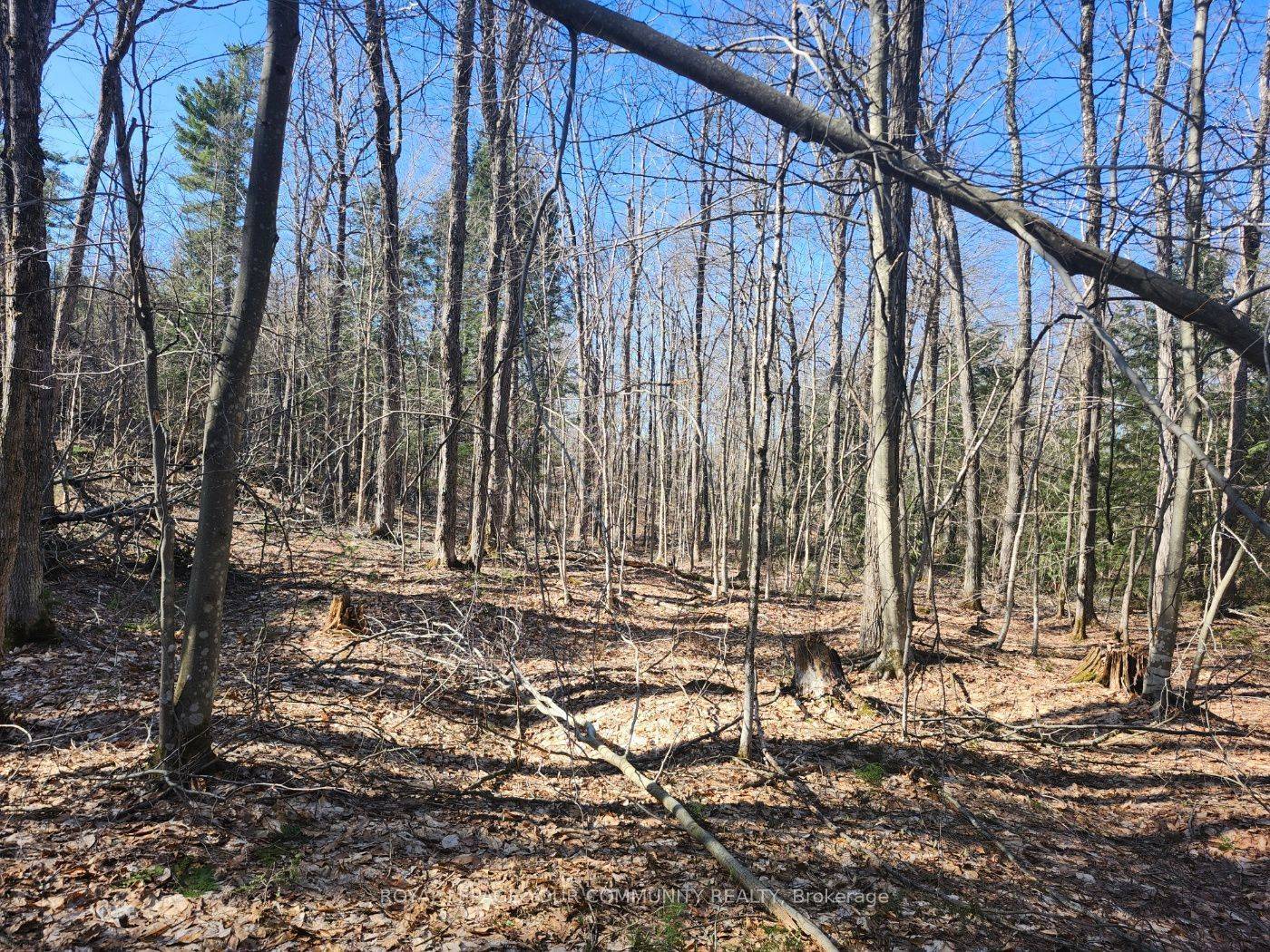 1282 Highway 118 RD E, Bracebridge, ON P1L 1X1