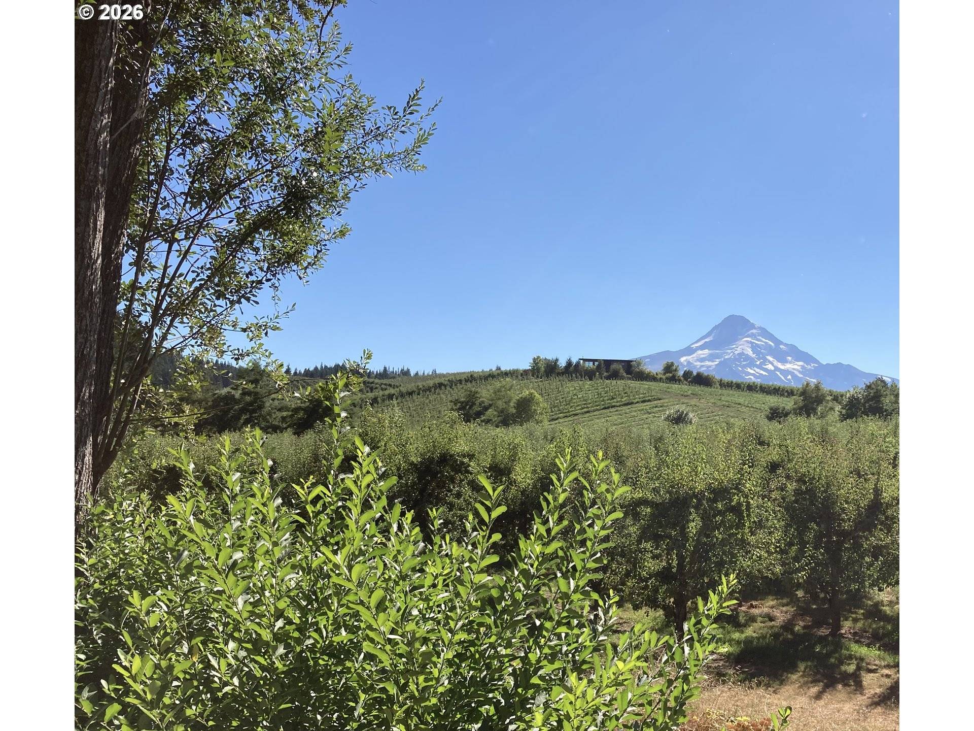 Mt Hood Prkdl, OR 97041,4360 DOG RIVER RD