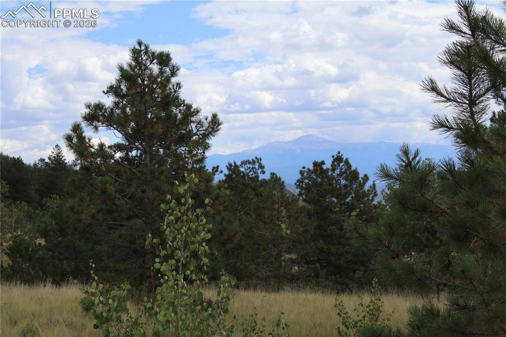 Hartsel, CO 80827,Highway 24