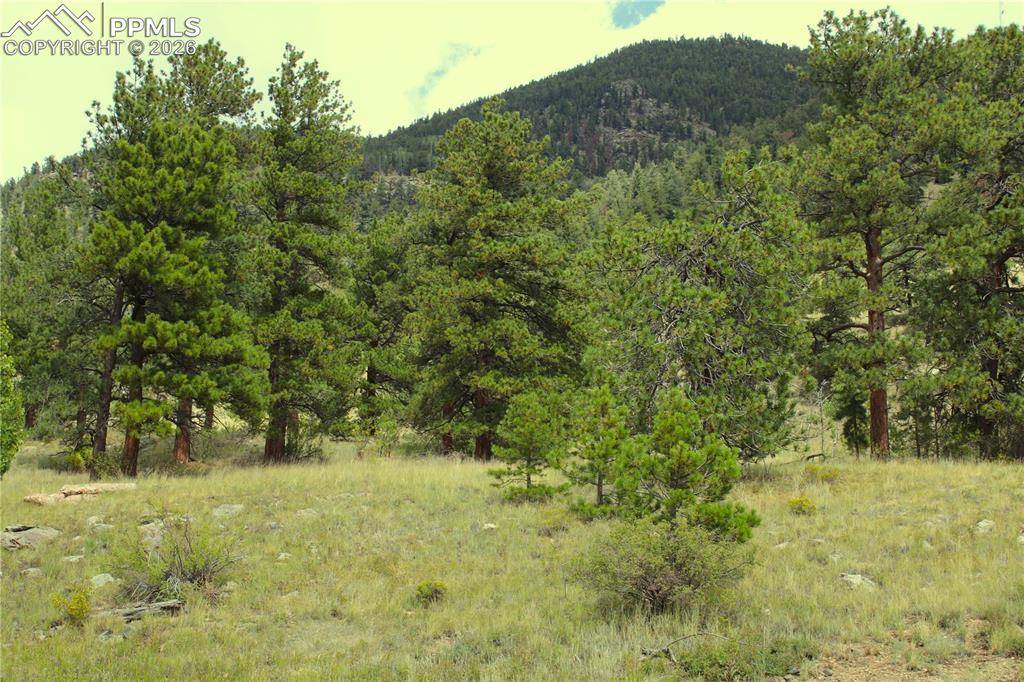 Hartsel, CO 80827,Highway 24