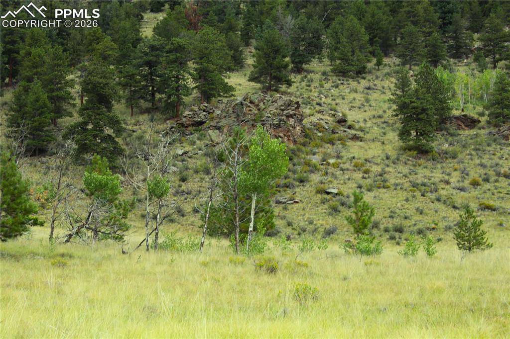 Hartsel, CO 80827,Highway 24