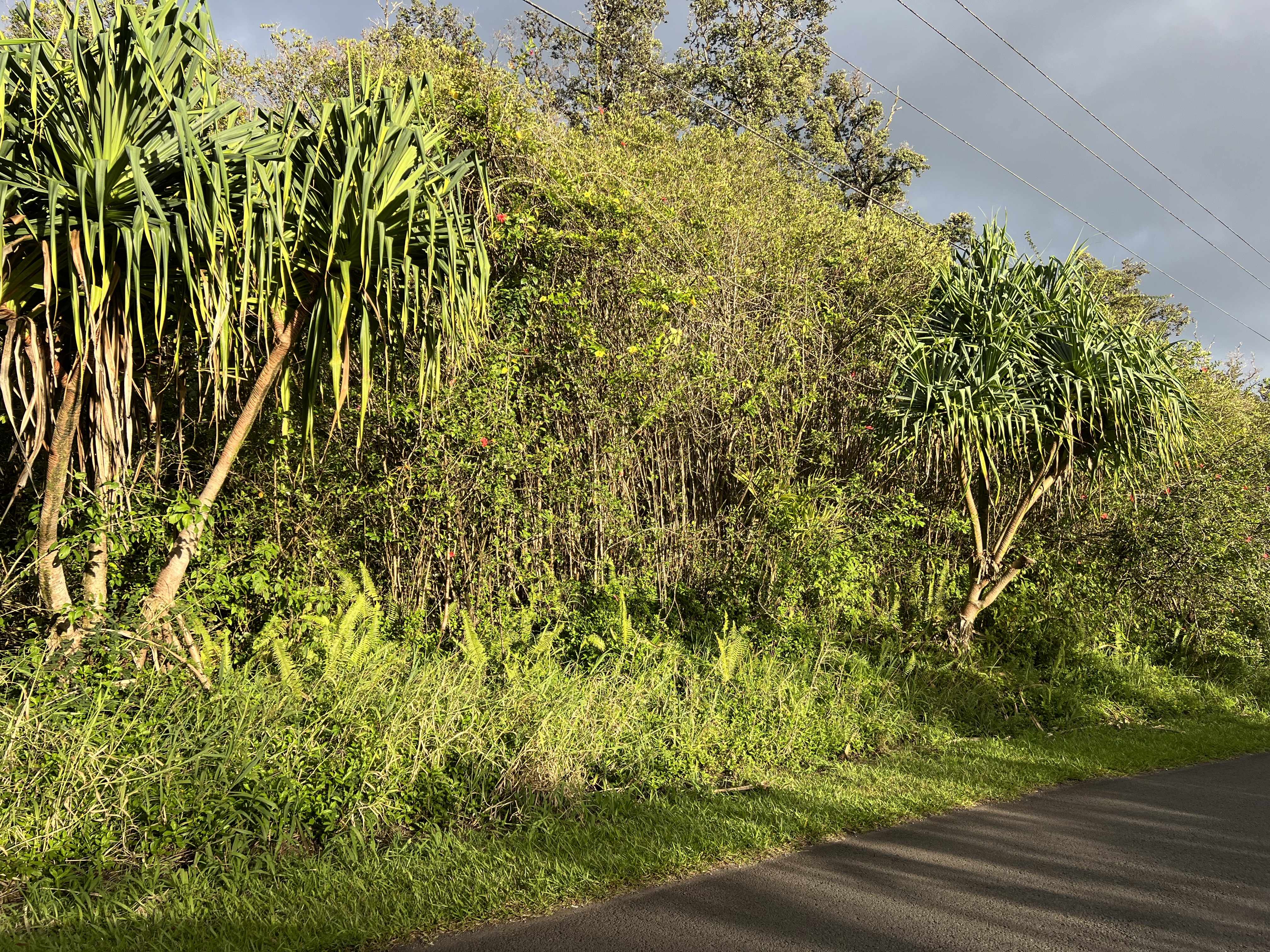 Keaau, HI 96749,40TH AVE