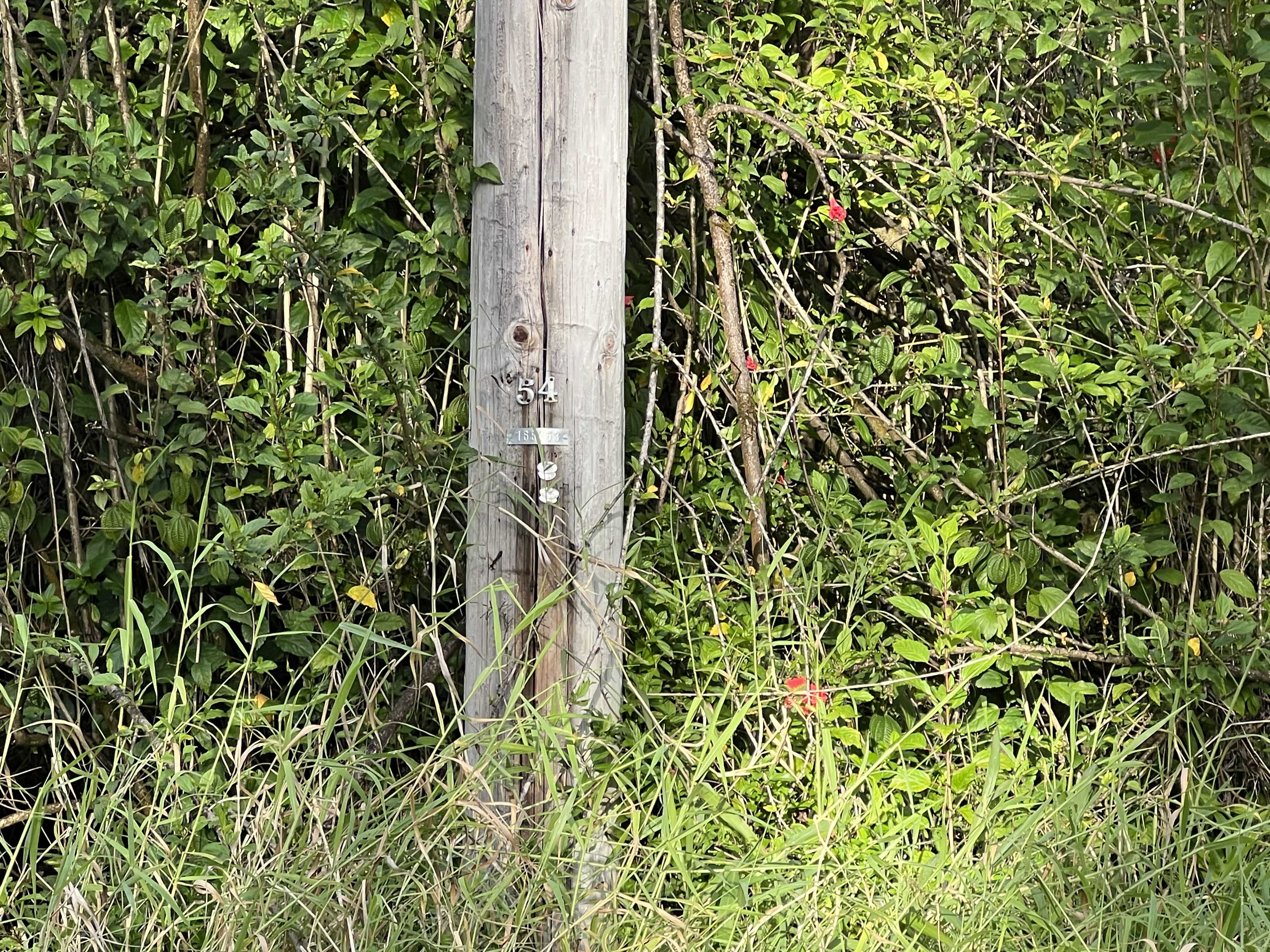 Keaau, HI 96749,40TH AVE