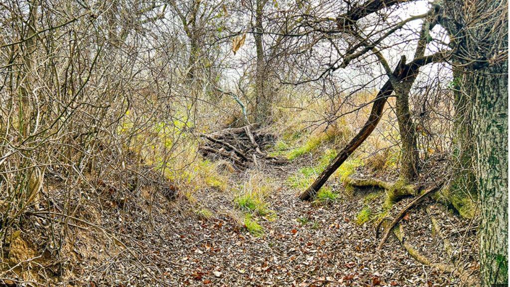 Sidney, TX 76442,0000 County Road 165