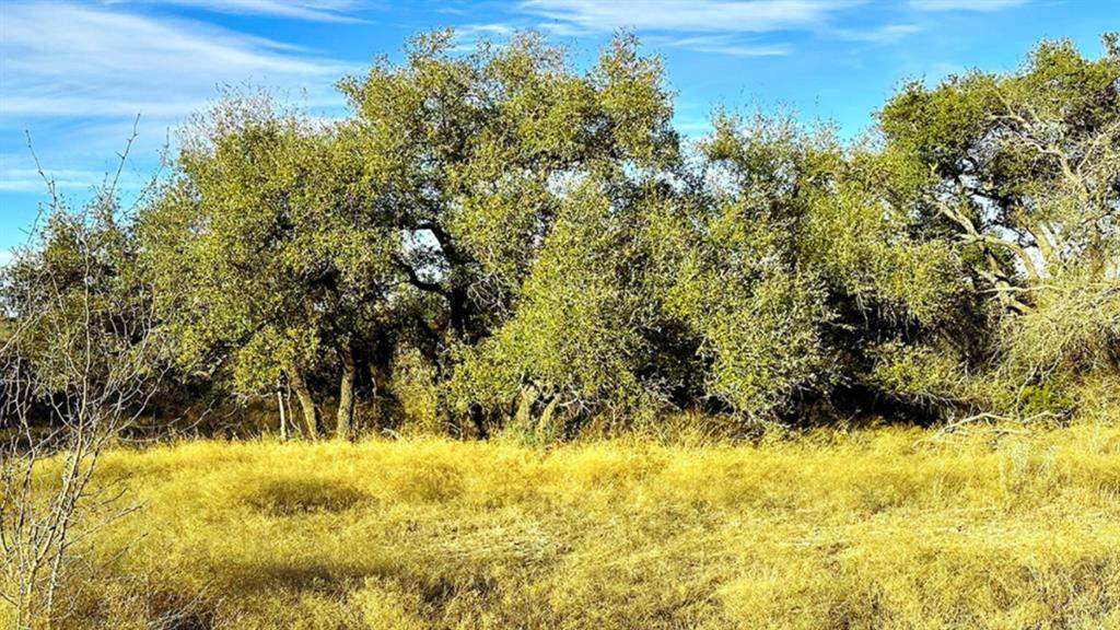 Sidney, TX 76442,0000 County Road 165