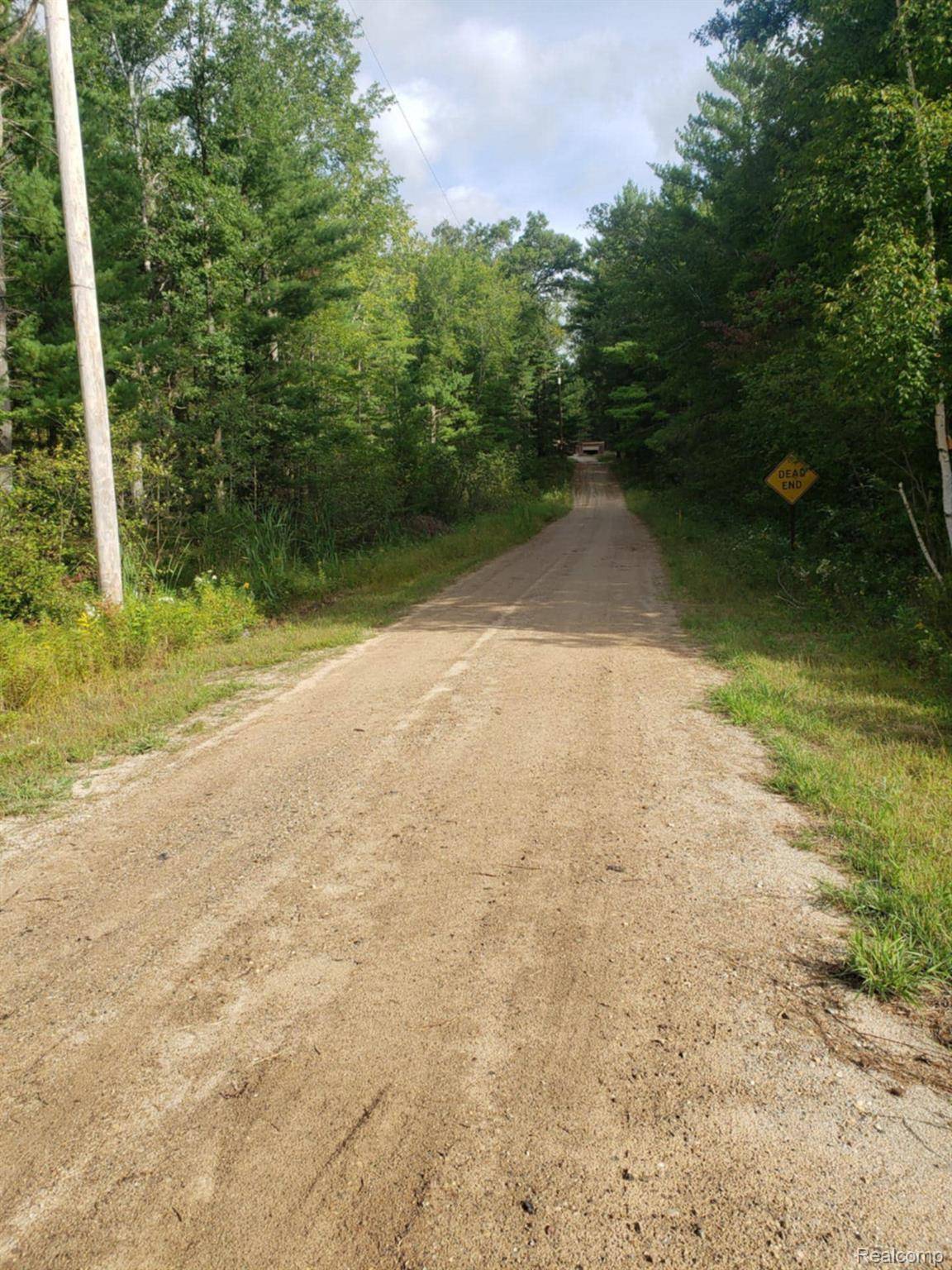 Idlewild, MI 49642,5885 S Shallow DR