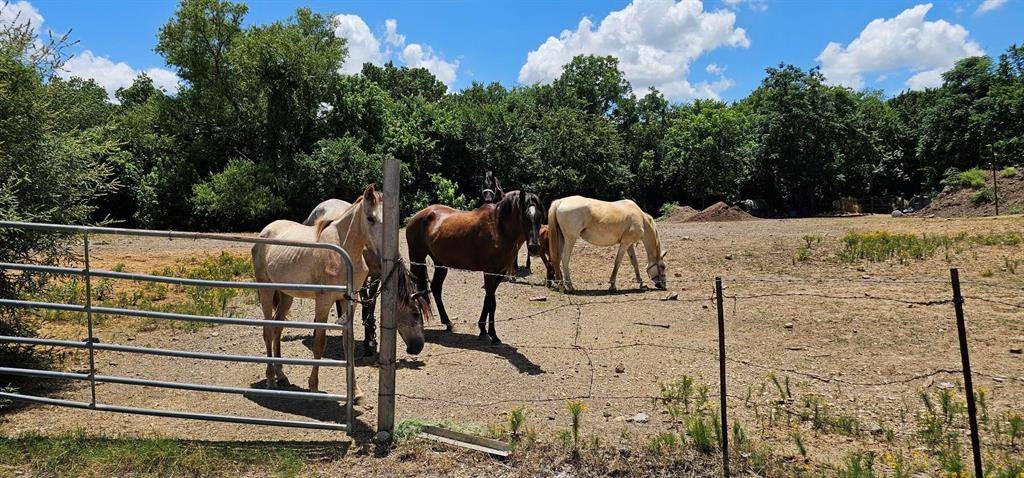 Haltom City, TX 76117,2001 Solona Street #A