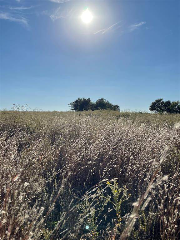 Wills Point, TX 75169,935 VZ County Road 3201