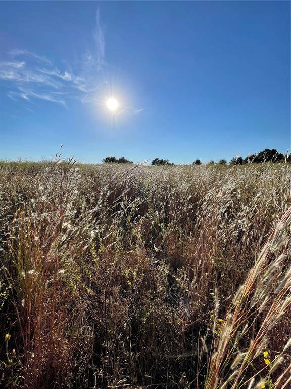 Wills Point, TX 75169,935 VZ County Road 3201