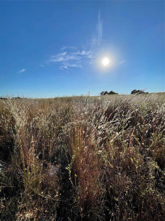 Wills Point, TX 75169,935 VZ County Road 3201