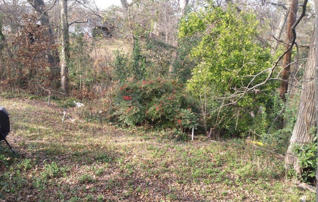 Plano, TX 75074,2123 Greenbriar Lane