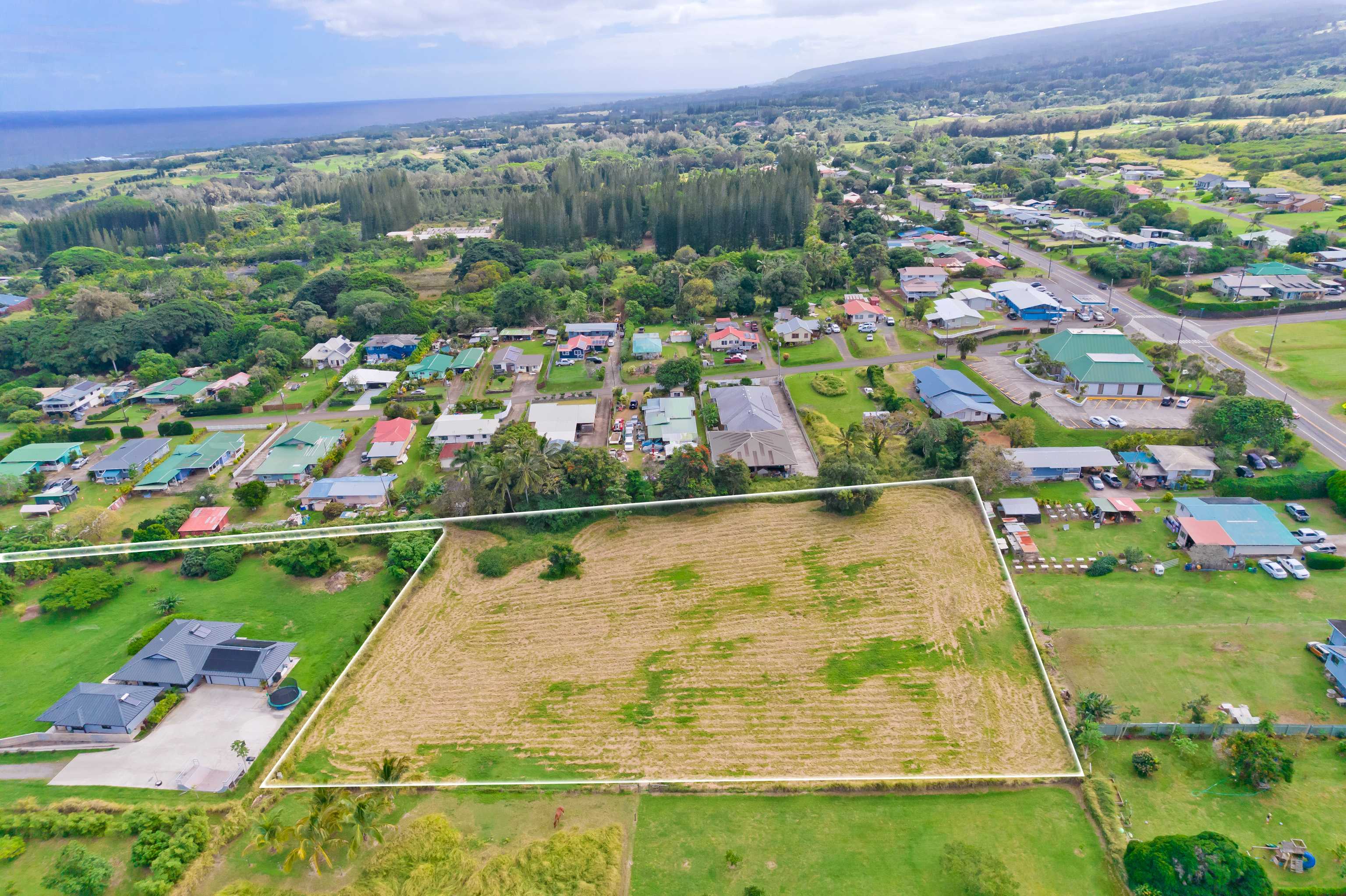 54-1119 MAHIAI PL, Kapaau, HI 96755