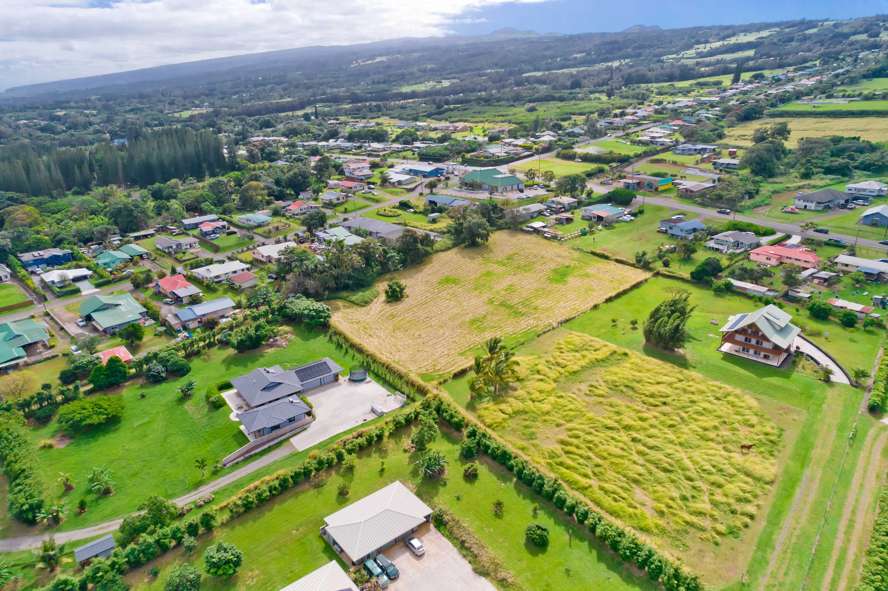 54-1119 MAHIAI PL, Kapaau, HI 96755