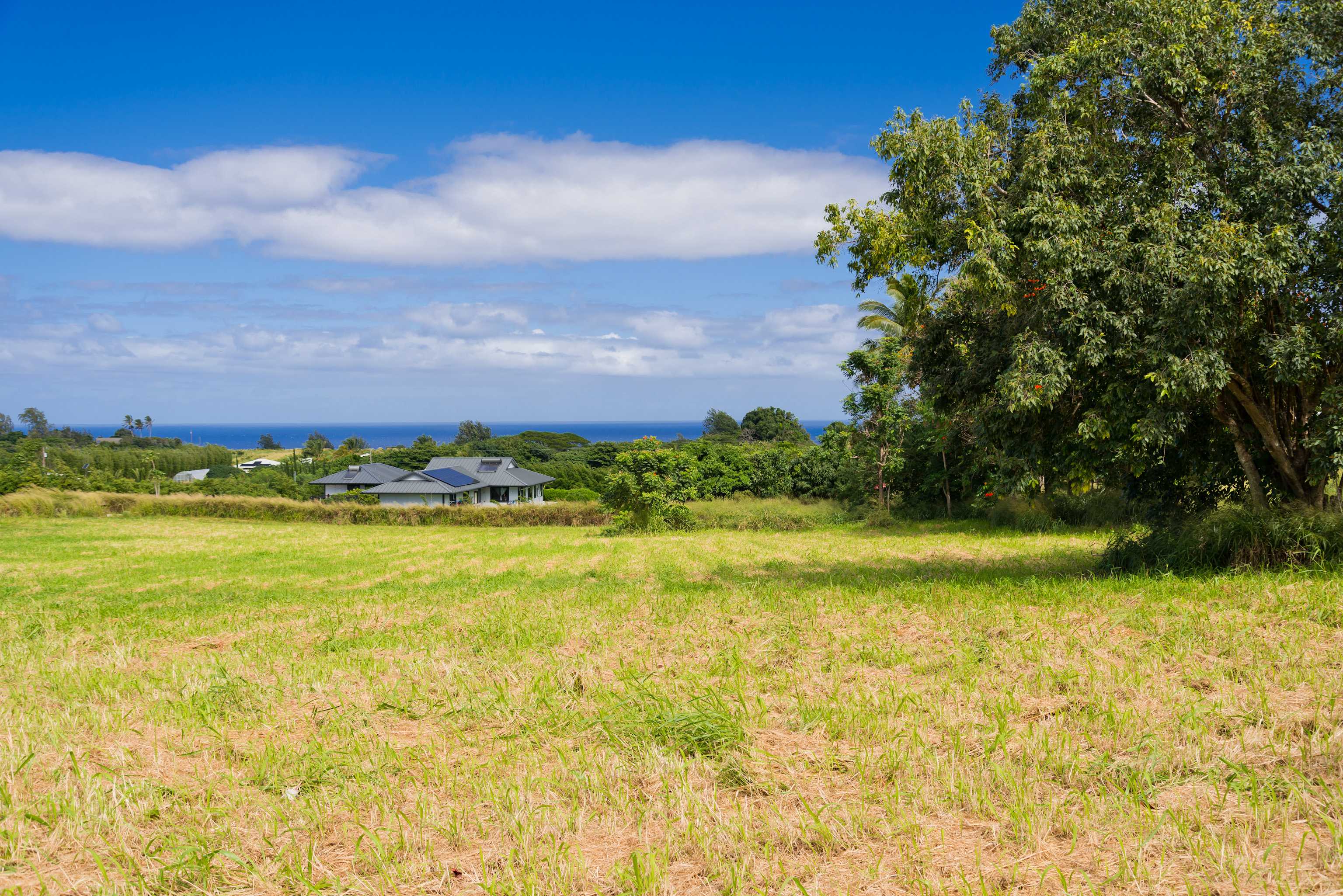 54-1119 MAHIAI PL, Kapaau, HI 96755