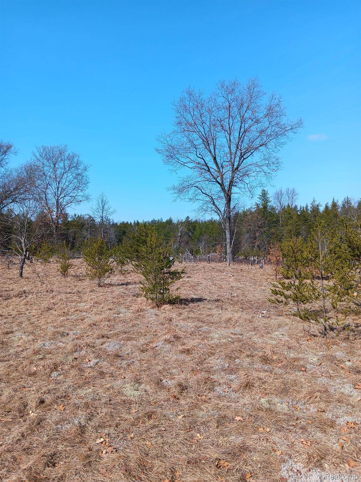 Wellston, MI 49689,0000 Cedar Creek RD