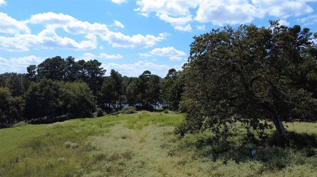 TR 108 PR 1314, Centerville, TX 75833