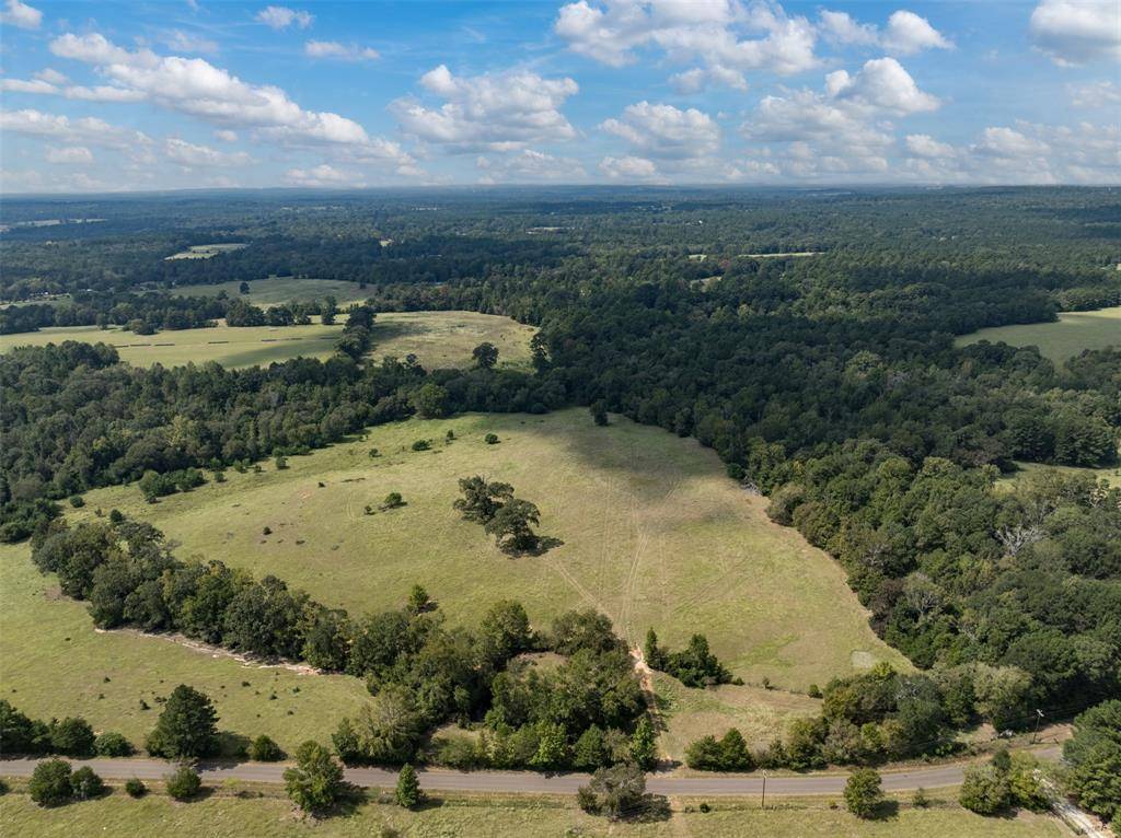 Palestine, TX 75801,Tract 1A An County Road 153