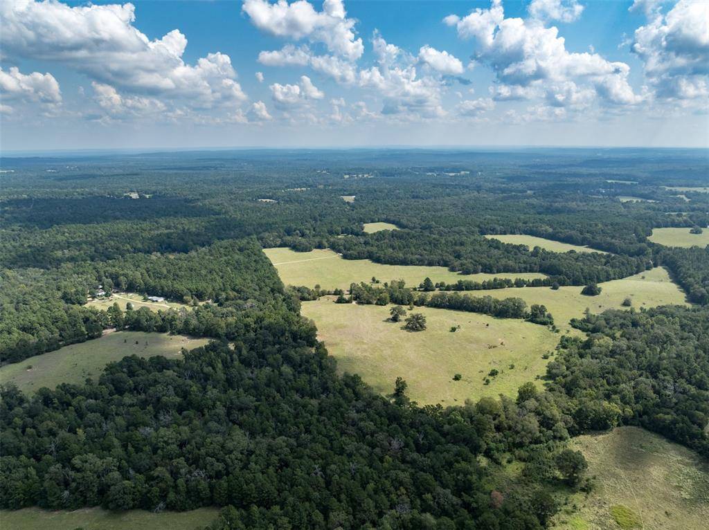 Palestine, TX 75801,Tract 1A An County Road 153