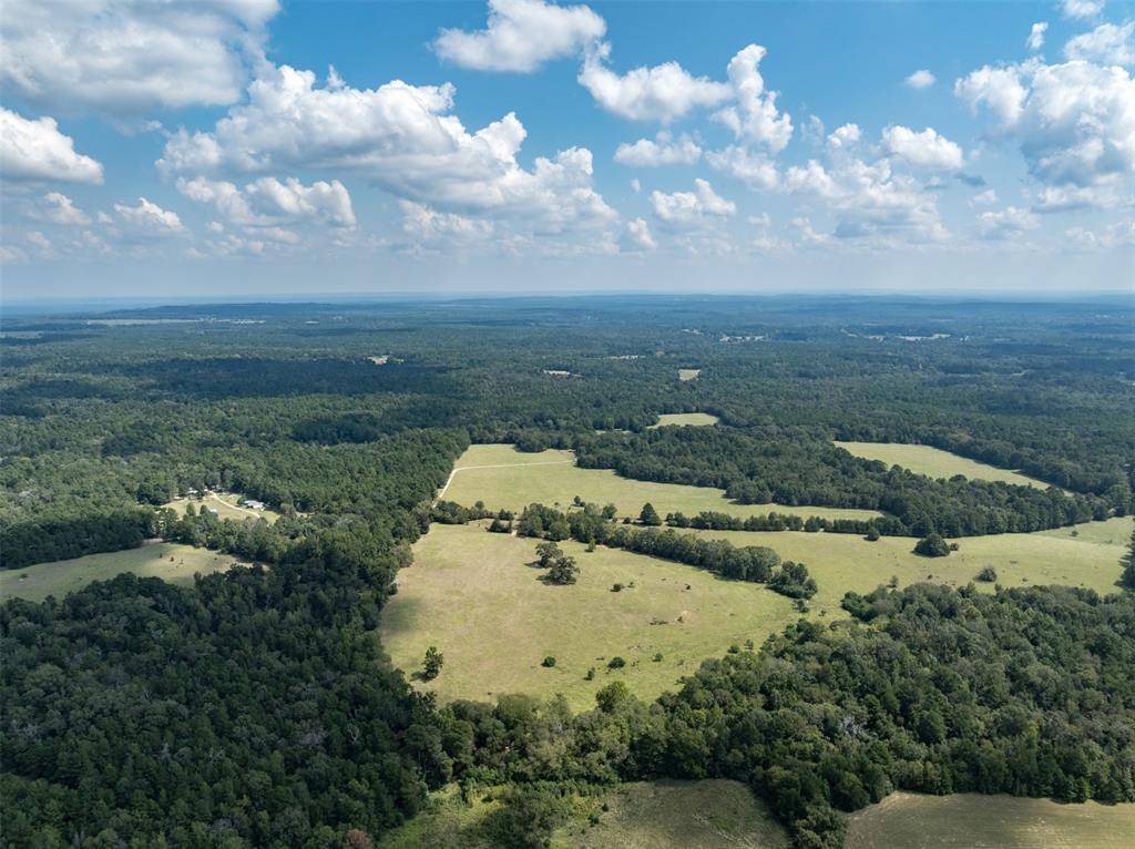 Palestine, TX 75801,Tract 1A An County Road 153