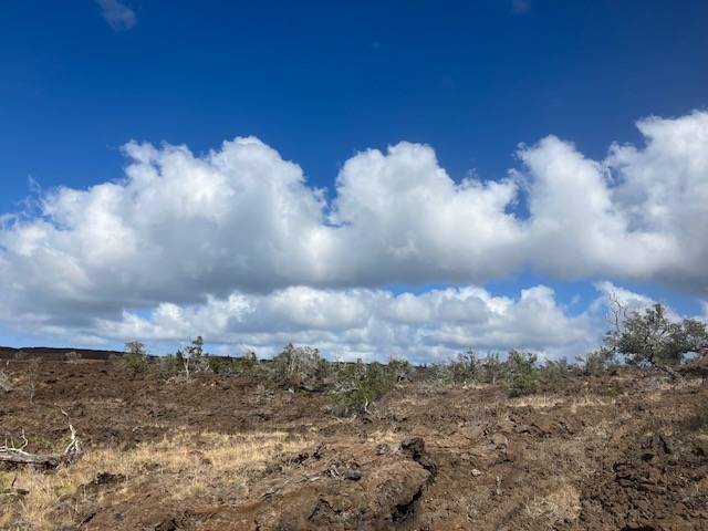 Ocean View, HI 96737