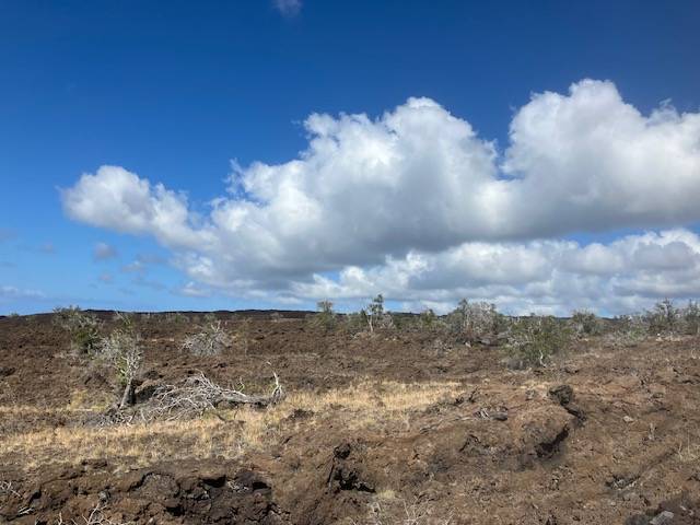 Ocean View, HI 96737