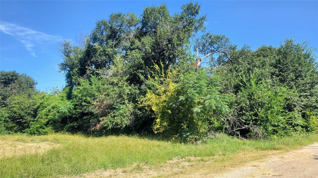 Mabank, TX 75156,117 Osage Drive