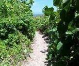 Ocean Ridge, FL 33435,6660 N Ocean Blvd #1