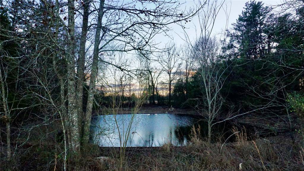 Quitman, TX 75783,0000 Hwy 37