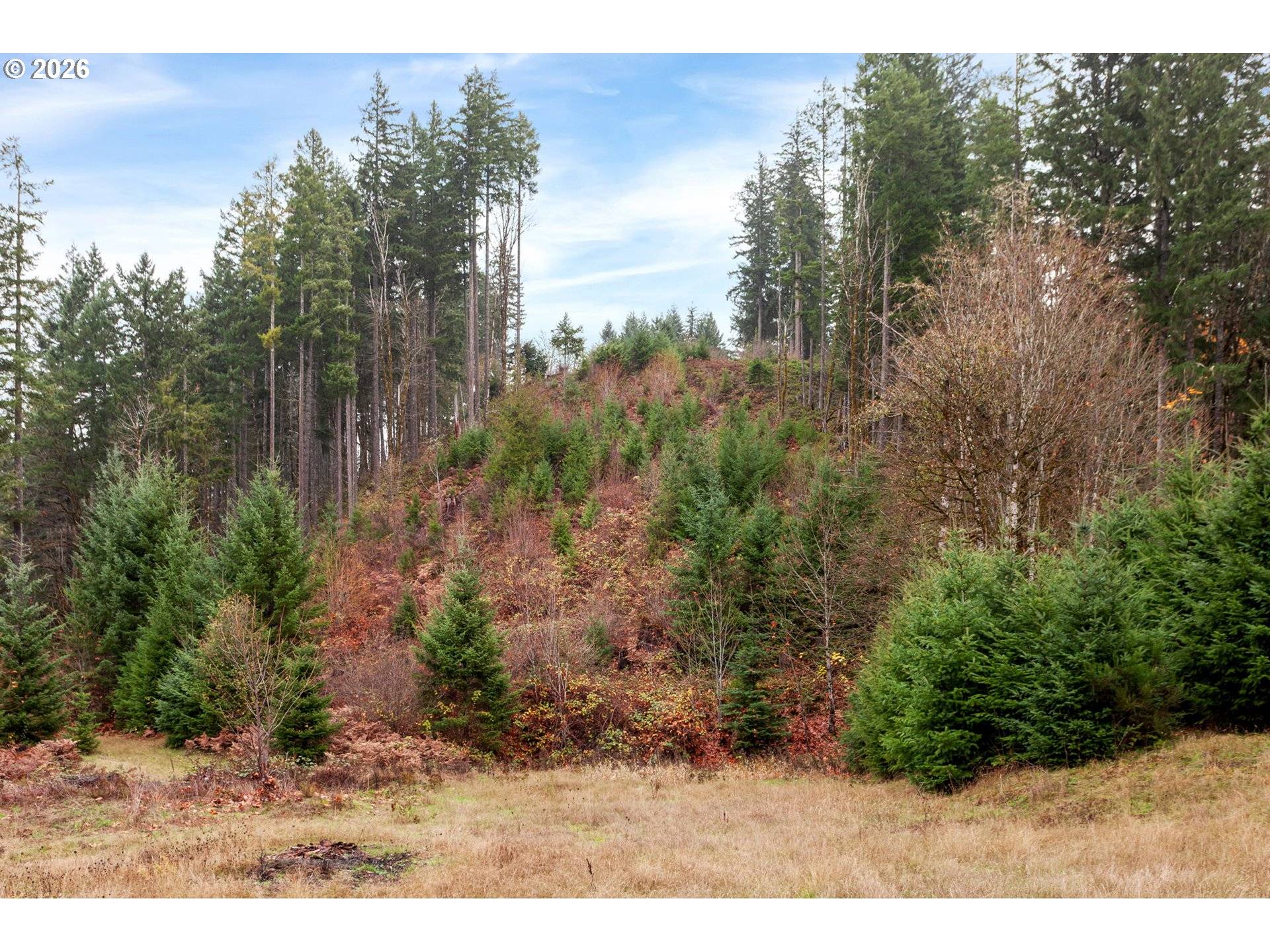 NW Ranch DR, Banks, OR 97106