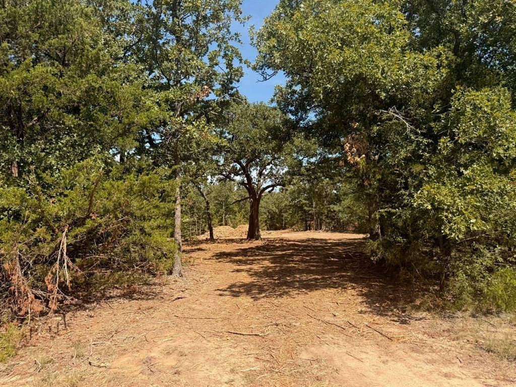 Gainesville, TX 76240,3325 FM 3164