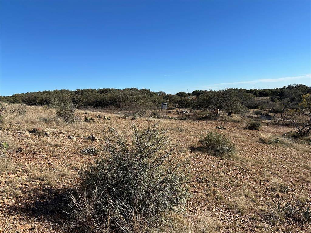 Brownwood, TX 76801,11101 County Road 228