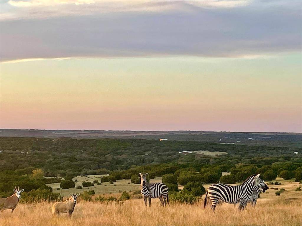 Lampasas, TX 76550,Tract 2 County Road 208