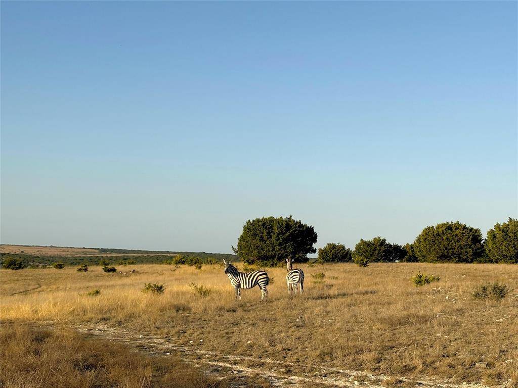 Lampasas, TX 76550,Tract 2 County Road 208