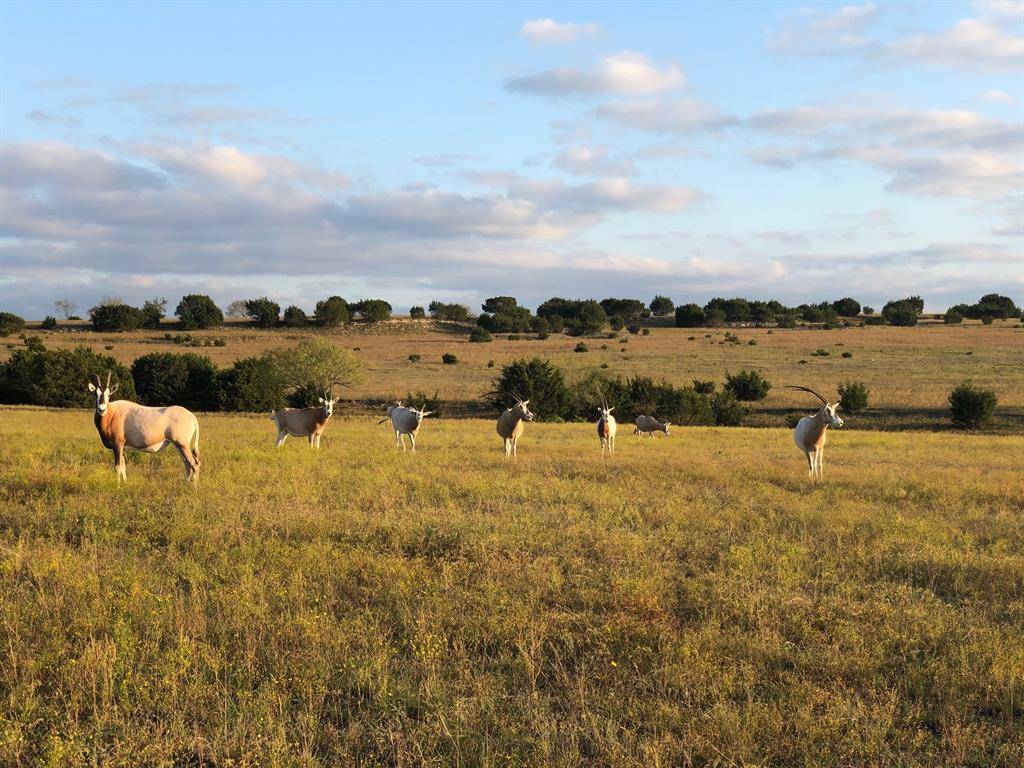 Lampasas, TX 76550,Tract 2 County Road 208