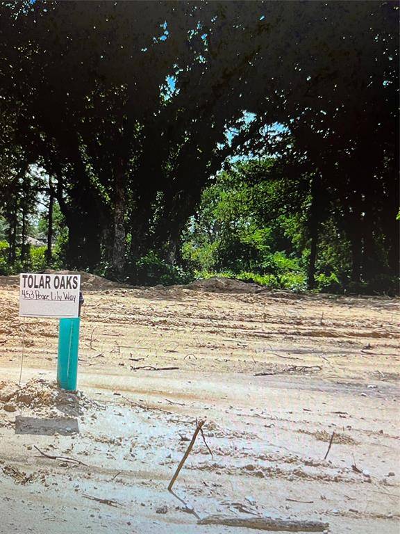 Tolar, TX 76476,453 Peace Lily Way