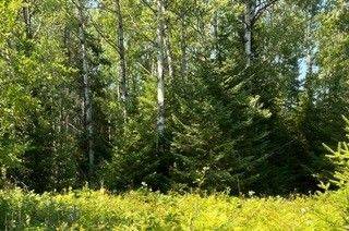 25 I ST, Cockburn Island, ON P0P 1R0