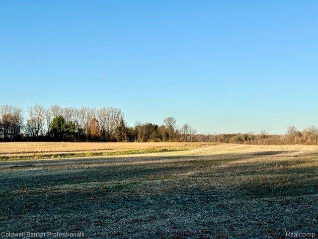 Milan, MI 48160,14235 WANTY RD