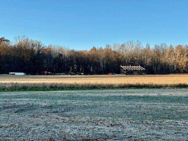 Milan, MI 48160,14235 WANTY RD