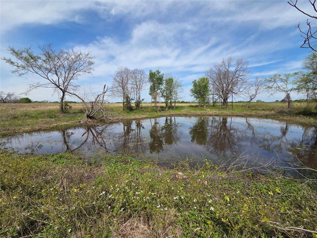 Corsicana, TX 75109,Lot 95 Stillwater Shores Drive