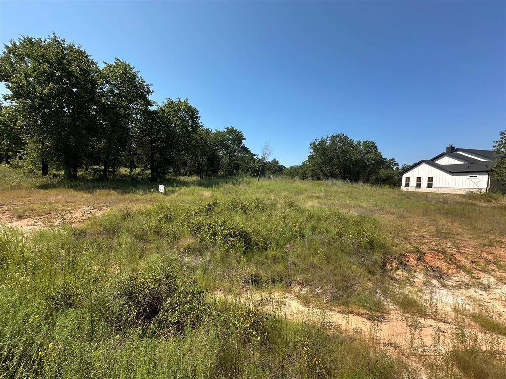 Nemo, TX 76070,1029 Rose Court