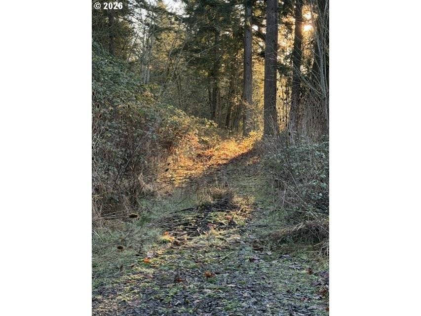 Woodland, WA 98674,107 LEGACY DR