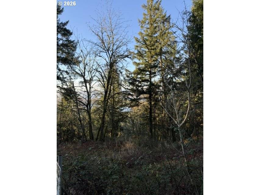 Woodland, WA 98674,107 LEGACY DR