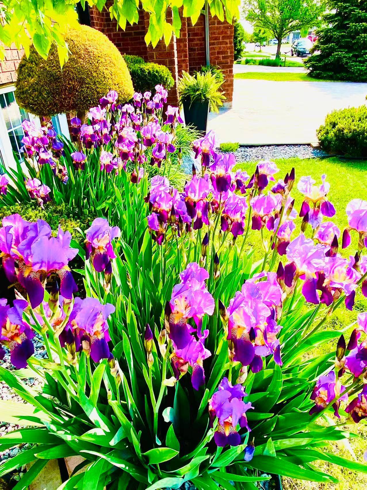 Lasalle, ON N9H 2R6,2570 Skinner ST