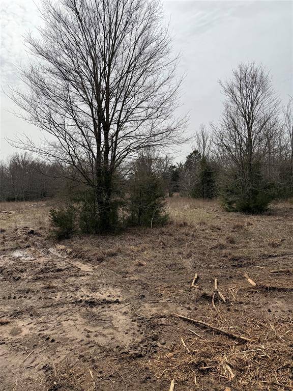 Kerens, TX 75144,Lot 1 SE CR 4045