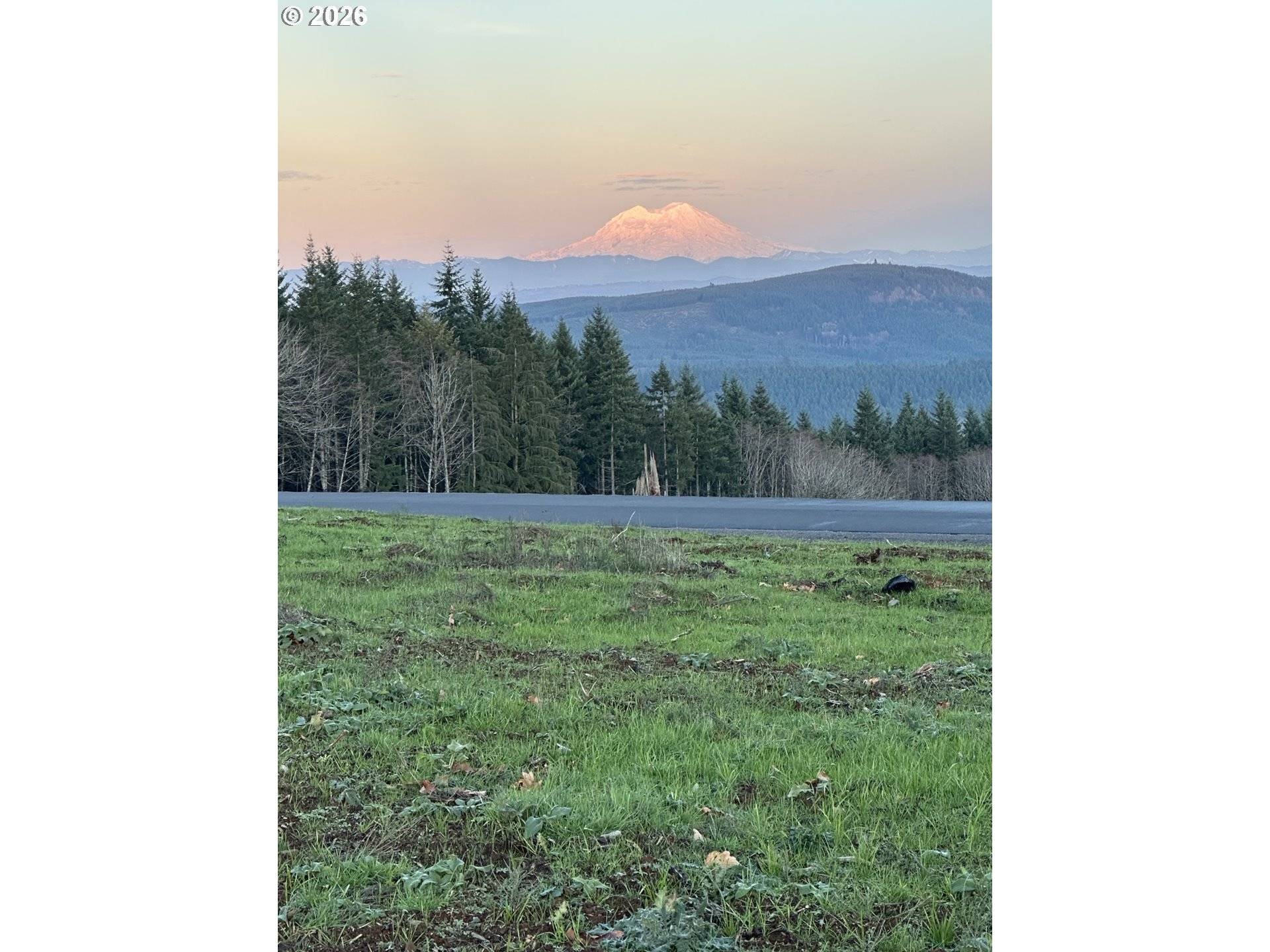 216 Suncrest DR #3, Castle Rock, WA 98611